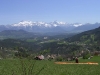 200504_Trieves